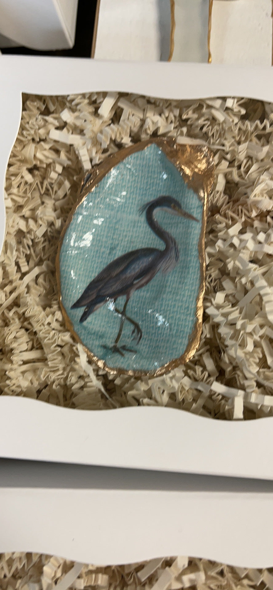 Heron in shell
